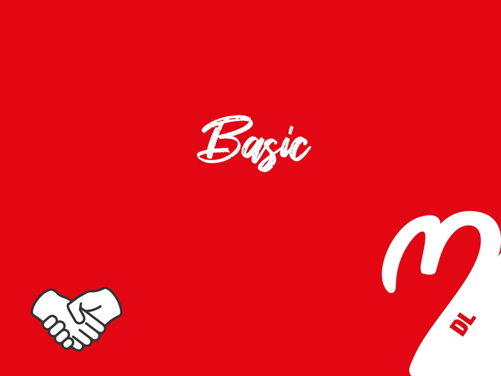 BASIC - Dienstleistungs-Partner