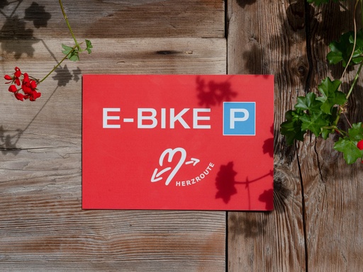 E-Bike Parkschild